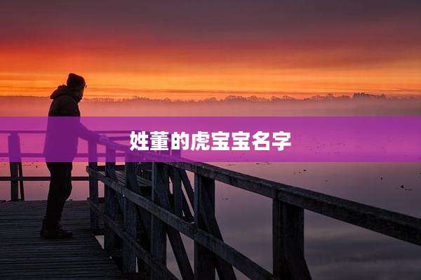 姓董的虎宝宝名字