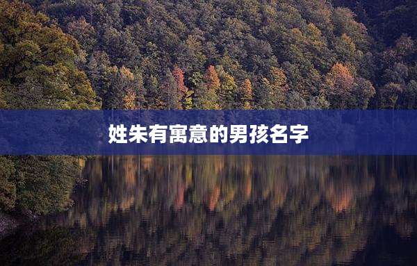 姓朱有寓意的男孩名字