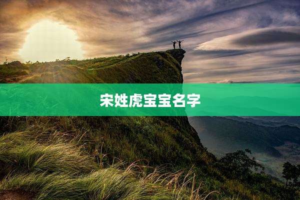 宋姓虎宝宝名字