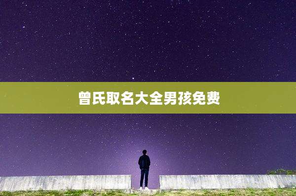 曾氏取名大全男孩免费