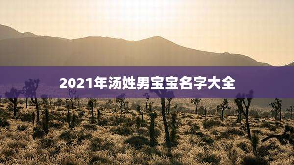 2021年汤姓男宝宝名字大全