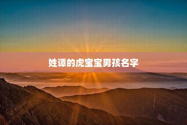 姓谭的虎宝宝男孩名字