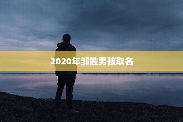 2020年邹姓男孩取名