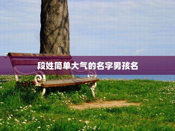 段姓简单大气的名字男孩名