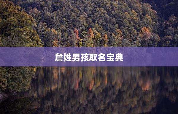 詹姓男孩取名宝典
