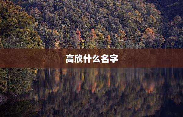 高欣什么名字