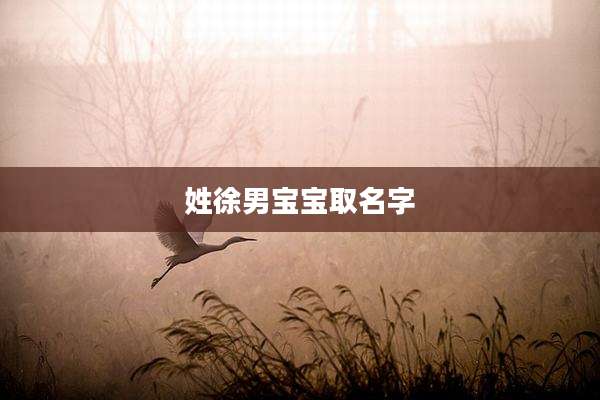 姓徐男宝宝取名字