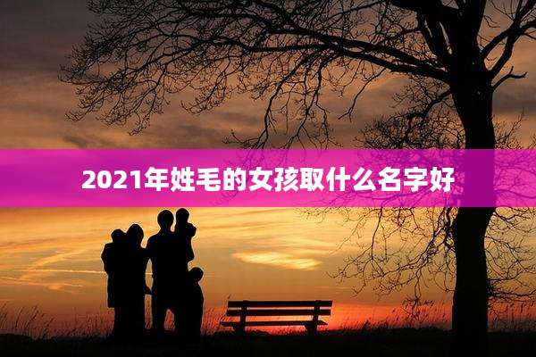 2021年姓毛的女孩取什么名字好