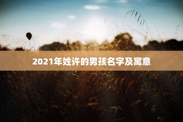 2021年姓许的男孩名字及寓意