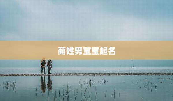 蔺姓男宝宝起名