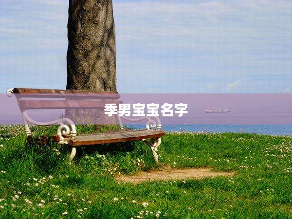 季男宝宝名字