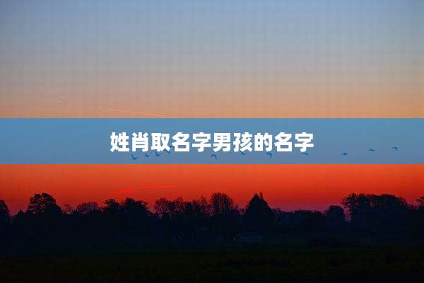 姓肖取名字男孩的名字