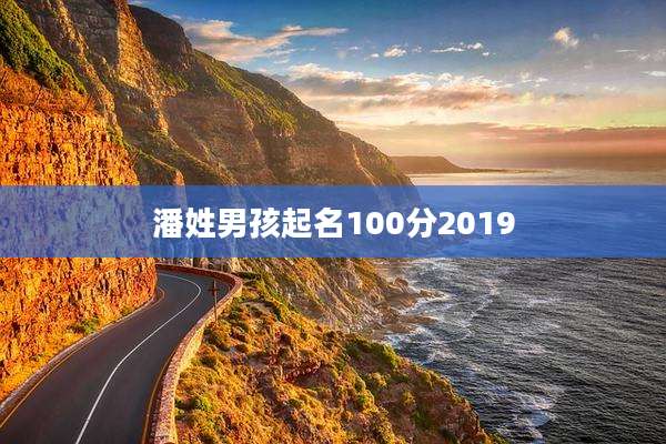 潘姓男孩起名100分2019
