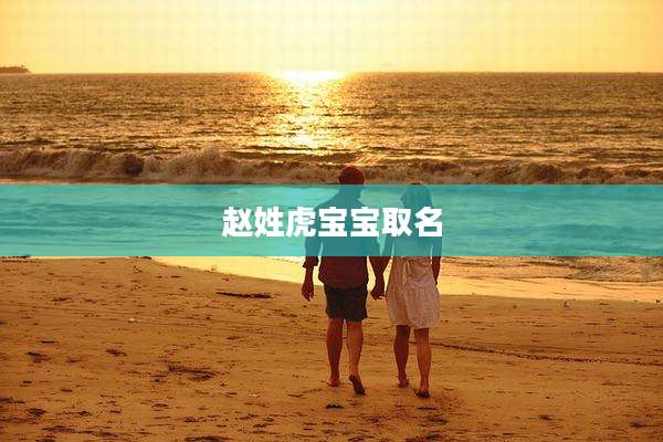 赵姓虎宝宝取名