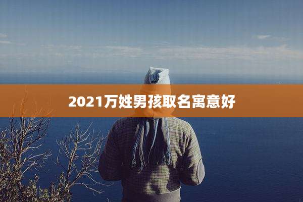 2021万姓男孩取名寓意好