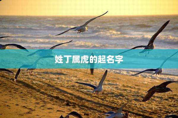 姓丁属虎的起名字