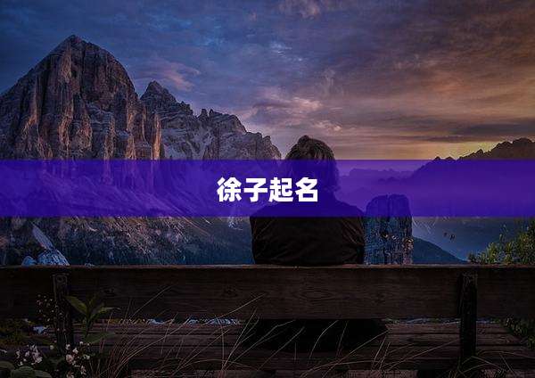 徐子起名