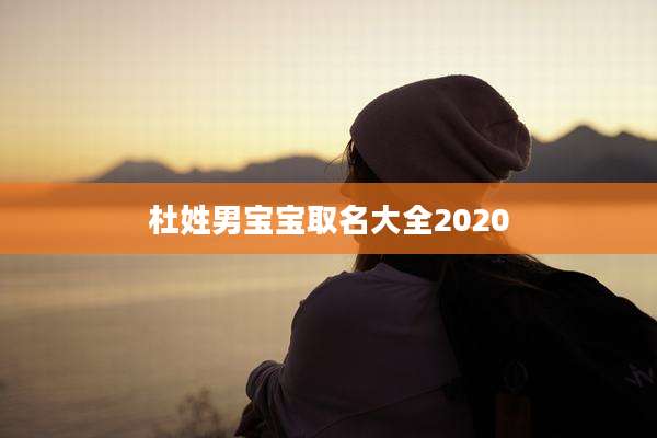 杜姓男宝宝取名大全2020