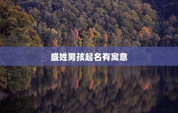 盛姓男孩起名有寓意