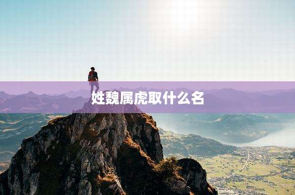 姓魏属虎取什么名