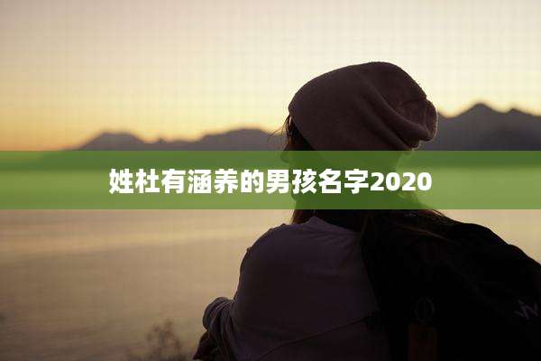 姓杜有涵养的男孩名字2020