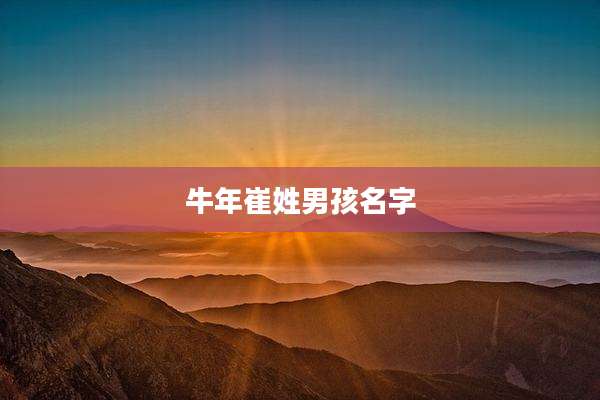 牛年崔姓男孩名字