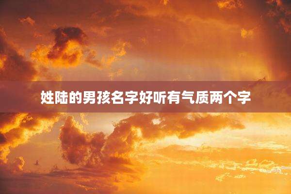 姓陆的男孩名字好听有气质两个字