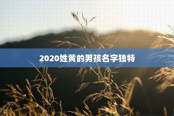 2020姓黄的男孩名字独特