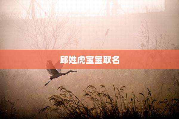 邱姓虎宝宝取名