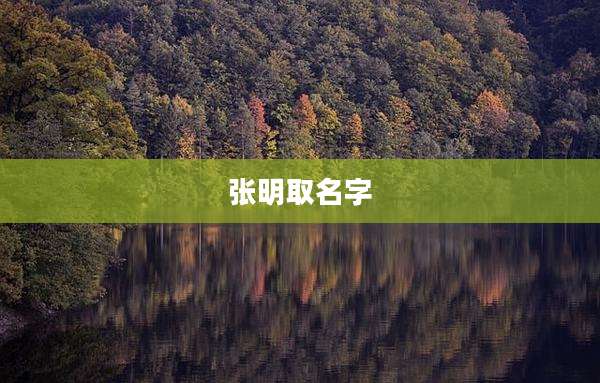 张明取名字