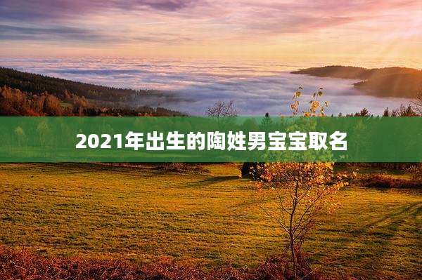 2021年出生的陶姓男宝宝取名