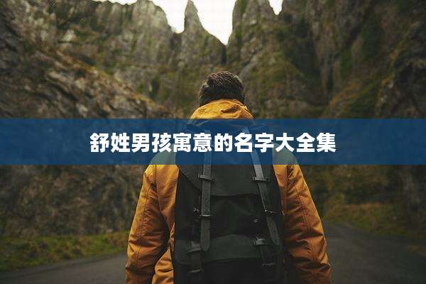 舒姓男孩寓意的名字大全集