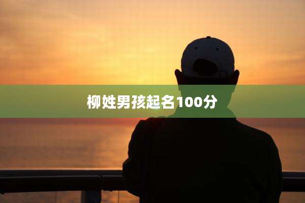 柳姓男孩起名100分