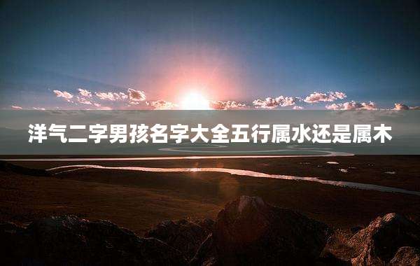 洋气二字男孩名字大全五行属水还是属木