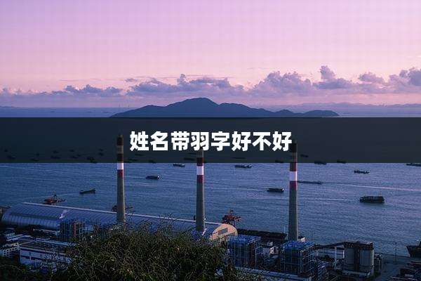 姓名带羽字好不好