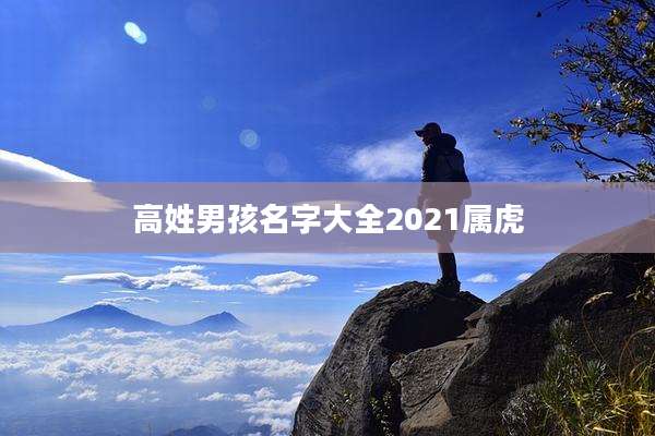 高姓男孩名字大全2021属虎