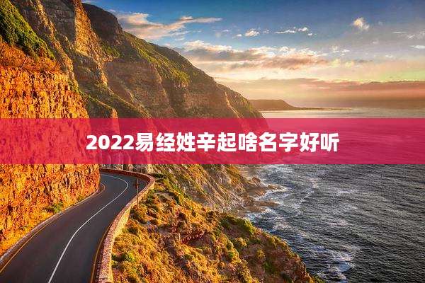 2022易经姓辛起啥名字好听