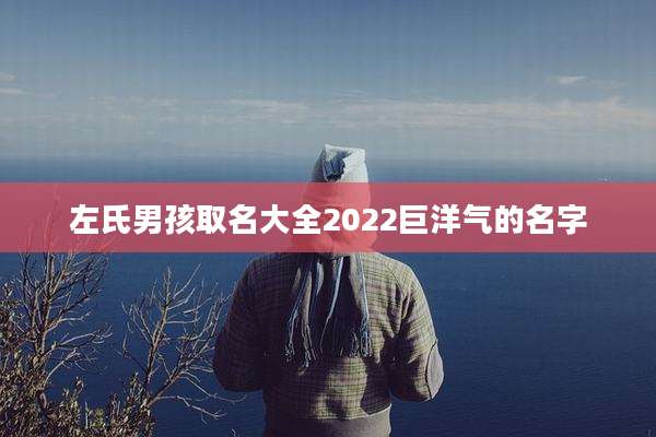 左氏男孩取名大全2022巨洋气的名字