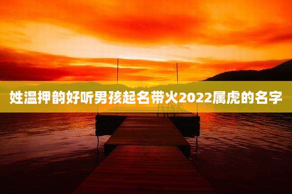 姓温押韵好听男孩起名带火2022属虎的名字