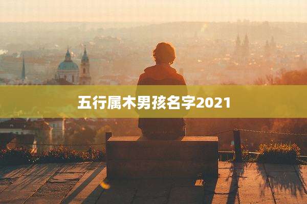 五行属木男孩名字2021