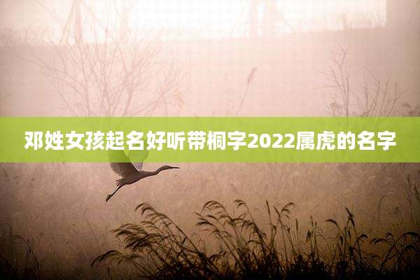 邓姓女孩起名好听带桐字2022属虎的名字