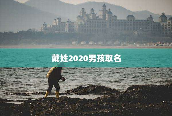 戴姓2020男孩取名