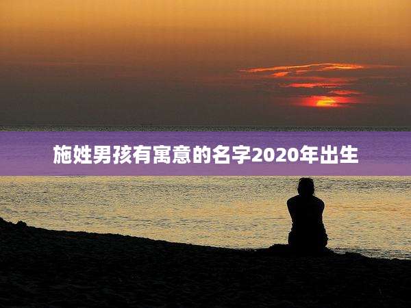 施姓男孩有寓意的名字2020年出生