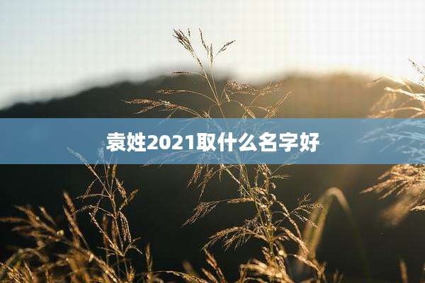袁姓2021取什么名字好